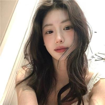 鸽之翼